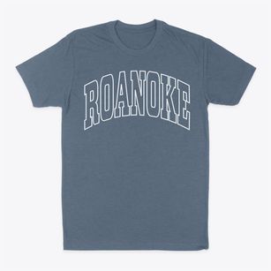 Roanoke Illinois Trendy Block Classic Dad T-Shirt