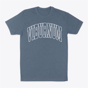 Viburnum Missouri Trendy Block Classic Dad T-Shirt