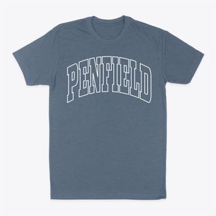 Penfield Illinois Trendy Block Classic Dad T-Shirt