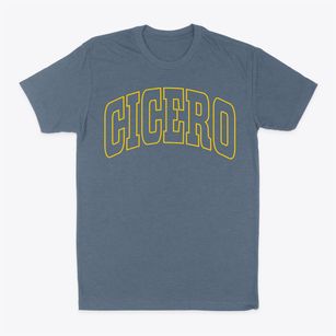 Cicero Indiana Trendy Block Classic Dad T-Shirt