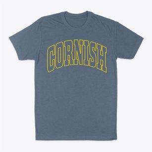 Cornish New Hampshire Trendy Block Classic Dad T-Shirt