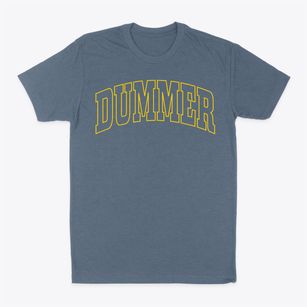 Dummer New Hampshire Trendy Block Classic Dad T-Shirt