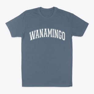Wanamingo Minnesota Varsity Classic Dad T-Shirt