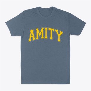 Amity New York Varsity Classic Dad T-Shirt