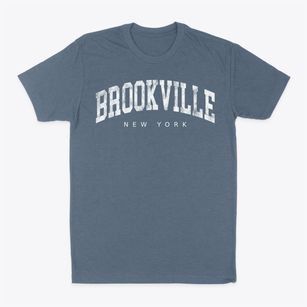 Brookville New York Urban Vibe Classic Dad T-Shirt