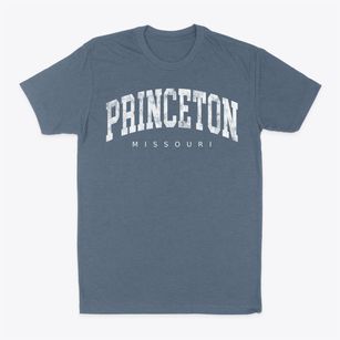 Princeton Missouri Urban Vibe Classic Dad T-Shirt