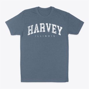 Harvey Illinois Urban Vibe Classic Dad T-Shirt