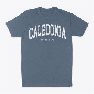 Caledonia Ohio Urban Vibe Classic Dad T-Shirt