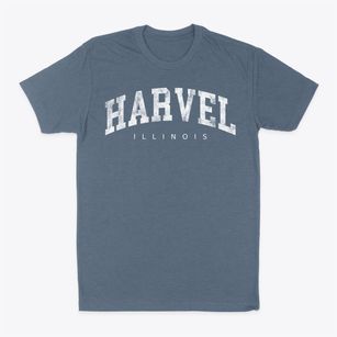 Harvel Illinois Urban Vibe Classic Dad T-Shirt