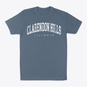 Clarendon Hills Illinois Urban Vibe Classic Dad T-Shirt