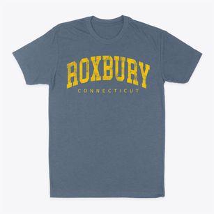 Roxbury Connecticut Urban Vibe Classic Dad T-Shirt