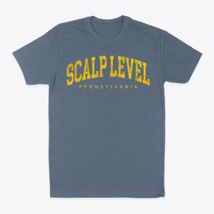 Scalp Level Pennsylvania Urban Vibe Classic Dad T-Shirt
