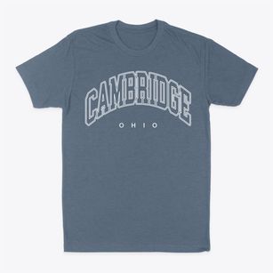 Cambridge Ohio Inline Classic Dad T-Shirt