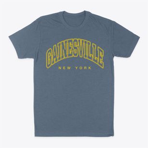 Gainesville New York Inline Classic Dad T-Shirt