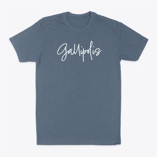 Gallipolis Ohio Freestyle Classic Dad T-Shirt