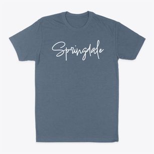 Springdale South Carolina Freestyle Classic Dad T-Shirt