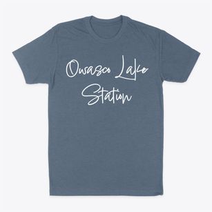 Owasco Lake Station New York Freestyle Classic Dad T-Shirt