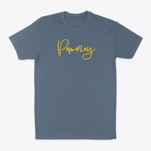 Pomeroy Iowa Freestyle Classic Dad T-Shirt
