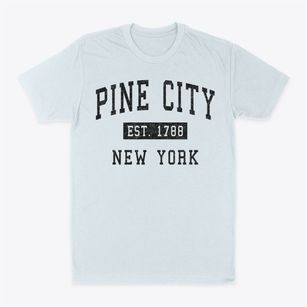 Pine City New York Classic Established Classic Dad T-Shirt