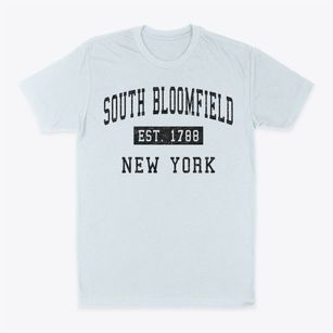 South Bloomfield New York Classic Established Classic Dad T-Shirt