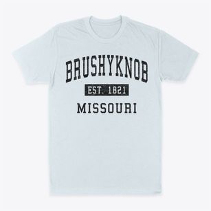 Brushyknob Missouri Classic Established Classic Dad T-Shirt