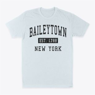 Baileytown New York Classic Established Classic Dad T-Shirt