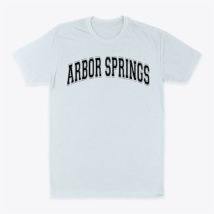 Arbor Springs Elementary School Varsity Arch Classic Dad T-Shirt