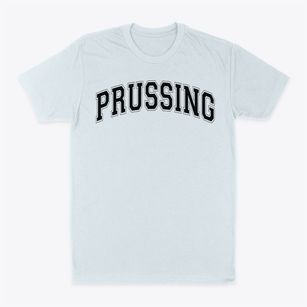 Prussing Elementary School Varsity Arch Classic Dad T-Shirt