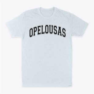 Opelousas Developmental Center Varsity Arch Classic Dad T-Shirt
