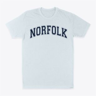 Norfolk Technical Vocational Center Varsity Arch Classic Dad T-Shirt