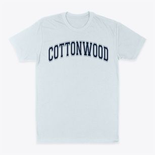 Cottonwood Elementary School Varsity Arch Classic Dad T-Shirt