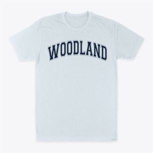 Woodland Elementary School Varsity Arch Classic Dad T-Shirt