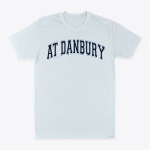 Elementary School At Danbury Varsity Arch Classic Dad T-Shirt