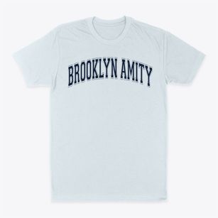 Brooklyn Amity School Varsity Arch Classic Dad T-Shirt