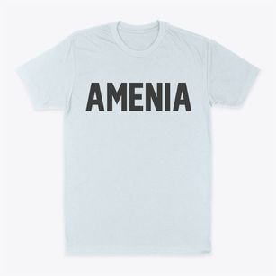 Amenia New York Classic Block Classic Dad T-Shirt