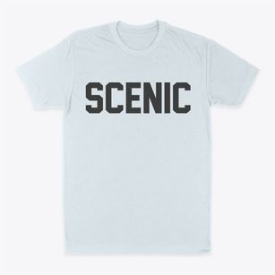 Scenic Arizona Classic Block Classic Dad T-Shirt