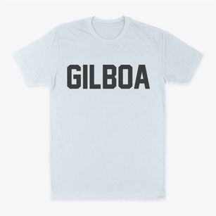 Gilboa New York Classic Block Classic Dad T-Shirt