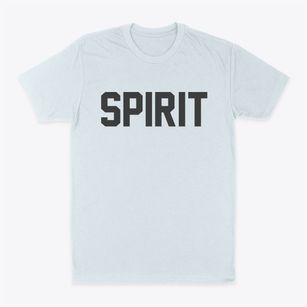 Spirit Wisconsin Classic Block Classic Dad T-Shirt