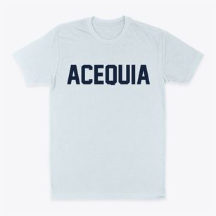 Acequia Idaho Classic Block Classic Dad T-Shirt
