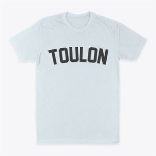 Toulon Illinois Classic Curve Classic Dad T-Shirt