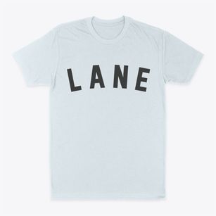 Lane South Carolina Classic Curve Classic Dad T-Shirt