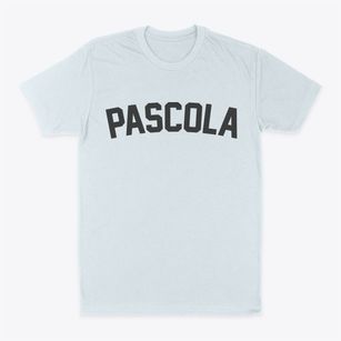 Pascola Missouri Classic Curve Classic Dad T-Shirt