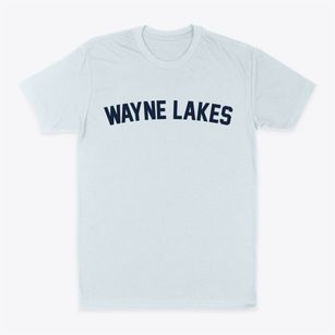 Wayne Lakes Ohio Classic Curve Classic Dad T-Shirt