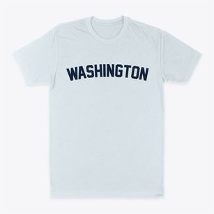 Washington Illinois Classic Curve Classic Dad T-Shirt