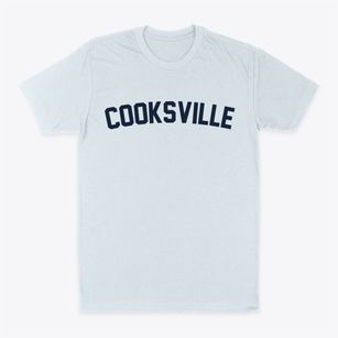 Cooksville Illinois Classic Curve Classic Dad T-Shirt