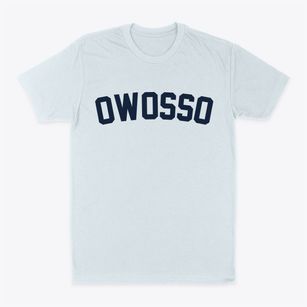 Owosso Michigan Classic Curve Classic Dad T-Shirt