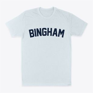 Bingham Illinois Classic Curve Classic Dad T-Shirt