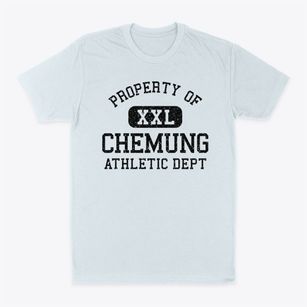 Chemung Illinois Athletic Dept Classic Dad T-Shirt