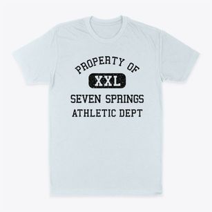 Seven Springs North Carolina Athletic Dept Classic Dad T-Shirt
