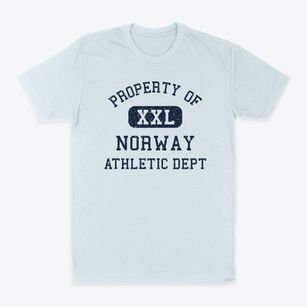 Norway Iowa Athletic Dept Classic Dad T-Shirt